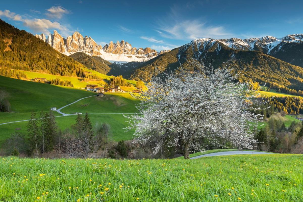 Raschoetzhof Funes  Kültér fotó